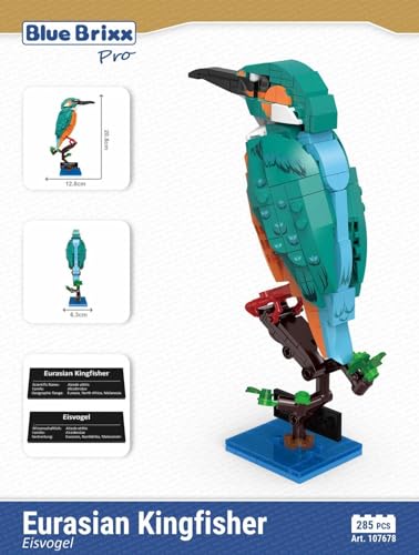 BlueBrixx Pro 107678 – Eisvogel aus Klemmbausteinen