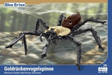 BlueBrixx Pro 107785 Goldrückenvogelspinne Box