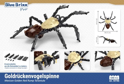 BlueBrixx Pro 107785 Goldrückenvogelspinne