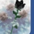 BlueBrixx Schwarze Rose aus Klemmbausteinen Pro 108313