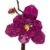 BlueBrixx Pro 108362 – Purpur-Magnolie aus Klemmbausteinen mit 407 Bauelementen - 2