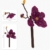 BlueBrixx Pro 108362 – Purpur-Magnolie aus Klemmbausteinen mit 407 Bauelementen - 4