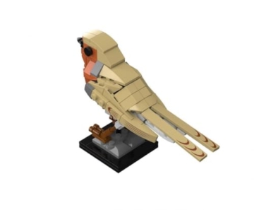 BlueBrixx Pro 108381 – Rotkehlchen aus Klemmbausteinen