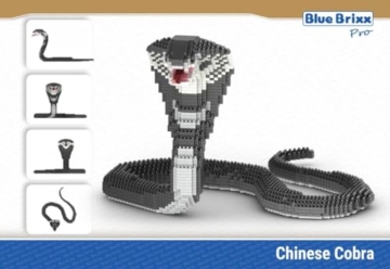 BlueBrixx Kobra (Diamond Blocks) Pro Set 108598 Box Rückseite