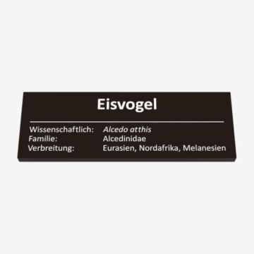 BlueBrixx Pro 109611 – Eisvogel – 286 Klemmbausteine – Vogel Baustein Set - 5