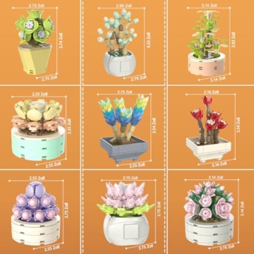 Brihappen Sukkulenten – 9er Botanical