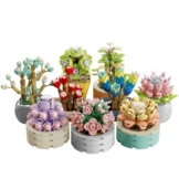 Brihappen Sukkulenten – 9er Botanical