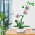 CaDA C59028W Botanicals Flower Bouquet,Orchid Bauspielzeugset für Erwachsene,237Teile Bausteine Blumenstrauß Klemmbausteine - 4
