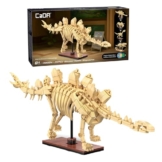CaDA Stegosaurus (297 Teile) - C59012W - Skelett von einem Stegosaurus, leuchtet im Dunkeln - 1