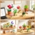 CUBIMANA 12 Blumen Botanical Mini Bausätze Spielzeug – 1697 Stück Kunstblumen Bonsai 3,6MM Klemmbausteine Set für Büro Heimdekor, Flowers Baustein Kreatives Bauprojekt für Erwachsene Kinder 10+ - 8