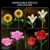CUBIMANA Blumenstrauß-Bausatz – 1000 Teiles Blumenstrauß-Set, Botanische Geschenk zum Valentinstag für Sie und Ihn, 15 Künstliche Blumen Bausteine Heimdekoration für Erwachsene 6+ Mädchen Geburtstag - 7