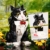 DUANT 59019 Katze Sonnenblumen Baustein Set, 1434pcs Katze Modell kreative Enthusiasten Geschenke und einzigartige Sammlerstücke - 4