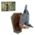ExPrismarx Nuthatch Bird Bausteine Set, 176 Teile DIY Vogelmodell Klemmbausteine, Wandmontierbares Sammlerstück & Ausstellungsmodell für Erwachsene, MOC-205034 - 1