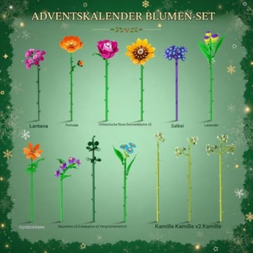HOGOKIDS Weihnachts Adventskalender Blumenstrauß-Bauset Wild mit LED-Licht - 6
