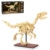 JAMARA 402891 CADA Dinosaurier Fossil Velociraptor Bricks, Geschenkidee für Junge und Mädchen, Spielzeug Dinosaurier Kids, Jurassic Set Spiele, Kombinierbar mit weiteren Modellen - 1