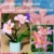 JOOZLEWELT Lilie 288 pcs Sukkulenten Bonsai Baustein Set,Pflanzen Klemmbausteine Blumen,Blumen Bausteine Mädchen,Mini Flowers Botanische Deko,Room Decor Heimdekoration - 2