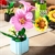 JOOZLEWELT Lilie 288 pcs Sukkulenten Bonsai Baustein Set,Pflanzen Klemmbausteine Blumen,Blumen Bausteine Mädchen,Mini Flowers Botanische Deko,Room Decor Heimdekoration - 3