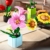 JOOZLEWELT Lilie 288 pcs Sukkulenten Bonsai Baustein Set,Pflanzen Klemmbausteine Blumen,Blumen Bausteine Mädchen,Mini Flowers Botanische Deko,Room Decor Heimdekoration - 8