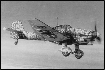 Junkers JU 87 D-3 STUKA - 9