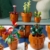 LEGO 10329 Icons Mini Pflanzen, 9 künstliche Blumen zum Bauen, Botanical Collection Sammel-Set für Erwachsene mit baubarem Terrakotta-Topf, Wohndeko, Geschenk für Frauen und Männer - 4