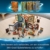 LEGO 76382 Harry Potter Hogwarts Moment: Verwandlungsunterricht Set, Spielzeugkoffer mit Minifiguren, Sammlerstück - 8
