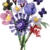 LEGO Botanicals Editions Olivia Rodrigos Blumenstrauß - 11 künstliche Blumen mit Rosen & Tulpen - Zimmer Deko für das Regal oder Schreibtisch - Geschenk für Mädchen & Jungen ab 9 Jahren - 11507 - 10