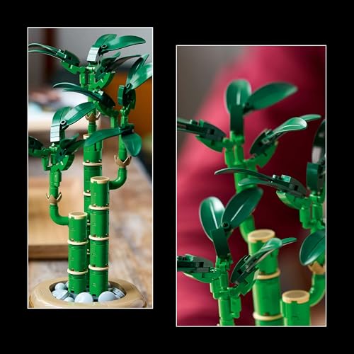 LEGO Icons 10344 Glücks-Bambus