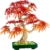 LEGO Botanicals 10348 – Japanischer Roter Ahorn (Bonsai-Baum) 🍁
