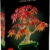 LEGO Botanicals 10348 – Japanischer Roter Ahorn (Bonsai-Baum) 🍁