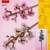 LEGO Botanicals Kirschblüten (40725) Box