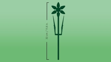 LEGO Botanicals Narzissen - Kunstblumen für Kinder- Blumenstrauß als Zimmer- oder Schreibtischdeko - Geschenke für Mädchen und Jungen - Botanik Kollektion 40747 - 6