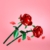 LEGO Botanicals Rosen - Kunstblumen Set - Geschenk zum Muttertag - Schreibtischdeko oder Blumendeko - Modellbau für Frauen und Männer - 40460 - 4