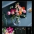 LEGO Botanicals Schöner Rosafarbener Blumenstrauß 