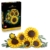 LEGO Botanicals Sonnenblumenstrauß - Kunstblumen Set für Erwachsene - Künstliche Sonnenblumen & Eukalyptuszweige für Deko im Wohn- oder Schlafzimmer - DIY Geschenkidee für Frauen - 11502 - 1