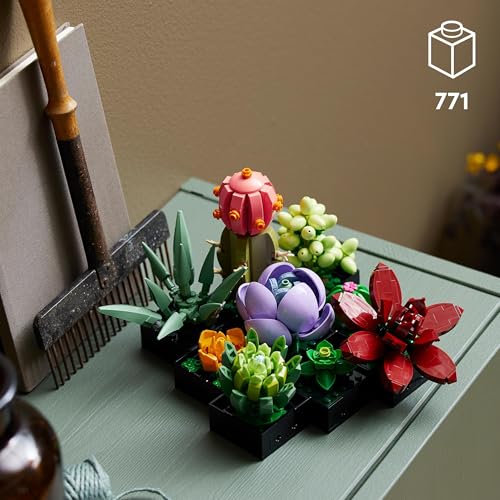 LEGO Botanicals Sukkulenten (10309) – moderne Pflanzendeko