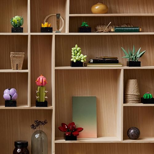 LEGO Botanicals Sukkulenten (10309) – moderne Pflanzendeko