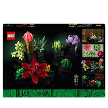 LEGO Botanicals Sukkulenten (10309) – moderne Pflanzendeko Box