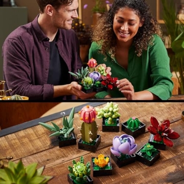 LEGO Botanicals Sukkulenten (10309) – moderne Pflanzendeko Geschenk