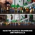 LEGO Building Set, 10305 - 6