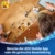 LEGO ǀ Disney Frozen 43256 – Annas Schlittenabenteuer: Magischer Winterspaß mit Anna, Kristoff, Olaf & Sven