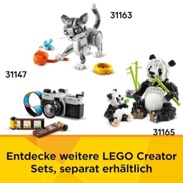 LEGO Creator 3in1 Schreibmaschine mit Blumen - umbaubar in eine Keytar oder einen Blumentopf mit Stift & Notizbuch – Kreatives Geburtstagsgeschenk für Mädchen und Jungen ab 8 Jahren – 31169 - 7
