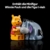 LEGO | Disney Winnie Puuh - Modellbau für Erwachsene zum Ausstellen - mit Honigtopf, Sammler Minifigur & I-Aah Figur - DIY nostalgische Geschenkidee für Fans - 43300 - 5