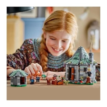 LEGO® Harry Potter 76428 – Hagrids Hütte: Ein unerwarteter Besuch