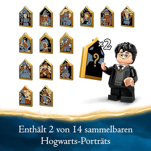 LEGO® Harry Potter 76428 – Hagrids Hütte: Ein unerwarteter Besuch