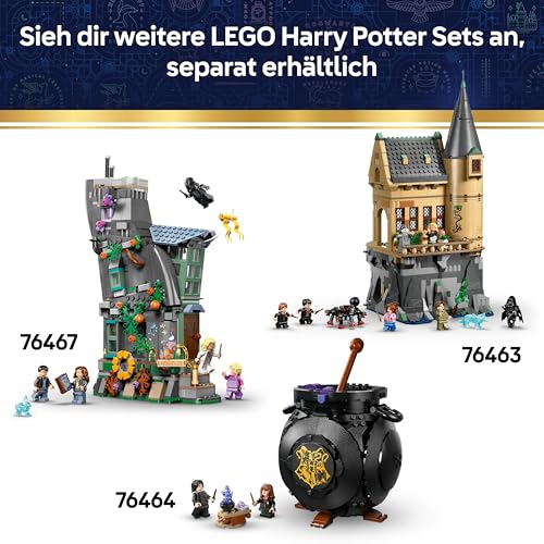 LEGO Harry Potter Schloss Hogwarts: Auswahlzeremonie mit dem Sprechenden Hut (76460)