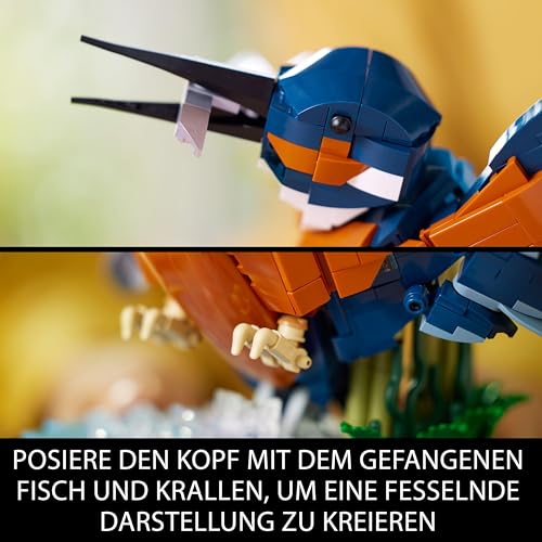 LEGO Icons 10331 „Eisvogel“ – Natur fürs Regal