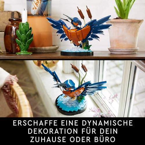 LEGO Icons 10331 „Eisvogel“ – Natur fürs Regal