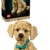 LEGO Icons Golden Retriever Welpe - Modellbau für Erwachsene - 3D Tierfigur zum Ausstellen mit Halsband & Medaille - DIY Deko für Regal oder Schreibtisch - Geschenkidee für Kunst- & Bastelfans - 11384 - 1