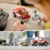 LEGO Jurassic World Blue & Beta in der Velociraptor-Falle, Spielzeugauto mit Dinosaurier Figuren, Geschenk für Kinder ab 6 Jahren 76946 - 7
