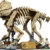 LEGO Jurassic World Dinosaurier-Fossilien: Triceratops - Modellbau für Erwachsene mit der Minifigur Dr. Gerry Harding - DIY Deko fürs Regal - Geschenkidee für Jurassic Park Fans - 77985 - 8